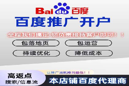 案例分析：信息流平台在电商领域的应用